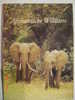2710 ELEFANTE ELEPHANT ANIMAL POSTCARD YEARS 1960 OTHERS IN MY STORE - Elephants
