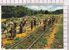 CONGO -  C.F.C.O. -   Arrivée Du Train Dans Une Halte De La Forêt Du MAYOMBE -  N° 6903 - Other & Unclassified