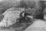 La Forêt, Les Ruines Du Château, Allée Du Tapis Vert - Marly Le Roi