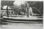 FRENCH GUINEA / GUINEE FRANCAISE - Conakry - The Fountain / La Fontaine - Ca. 1910´s Vintage Unused Postcard - French Guinea