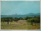 2828 FORMENTERA  BAHIA CALA SABINA  BALEARES ISLANDS POSTAL AÑOS 1960  MIRA MAS EN MI TIENDA - Formentera