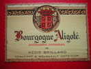ETIQUETTE-BOURGOGNE ALIGOTE-APPELLATION CONTROLEE-REGIS BRILLARD-NEGOCIANT A MEURSAULT-COTE D´OR - Bourgogne