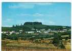 85 - POUZAUGES - Vue Générale Et Le Bois De La Folie - Détails Scanés Au Dos - Pouzauges