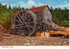 Trinity Bay Terre-Neuve Newfoundland - Moulin à Eau - Old Water Mill - Circulée - 2 Scans - Other & Unclassified