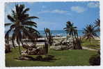 Cpsm ARUBA Netherlands Antilles Garden Near Hotel Caribbean - Otros & Sin Clasificación