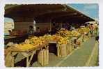 Cpsm ARUBA Netherlands Antilles Fruit Market In Oranjestad - Altri & Non Classificati