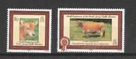 Jersey: 186/ 187 **  Vaches - Mucche