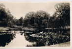 Leeuwarden Rengerspark - Leeuwarden