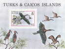 Turks Y Caicos HB 21 - Turks & Caicos (I. Turques Et Caïques)