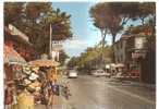 43512)cartolina Illustratoria Marina Di Massa - Viale Delle Pinete E Panorama - Massa