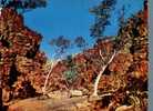 (3005) - Northern Territory - Valley Of Eagle - Zonder Classificatie