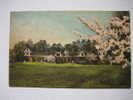 Greensboro Nc    Sedgefield Inn  1949 Cancel  Hand Colored - Other & Unclassified