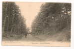 Saint-Leu-la-Forêt (95) : La Route De Chauvey Environ 1905 (animée). - Saint Leu La Foret