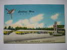 Orangeburg SC   Carolina Wren Motel Early Chrome - Other & Unclassified