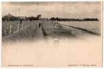 RAR Lübeck - Travemünde - Strandpartie Um 1900 - Luebeck-Travemuende