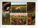 Cp, Chasse, En Sologne, Multi-Vues, écrite - Chasse