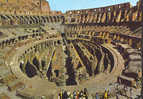 A1413 Roma - Colosseo -. Interno /  Non Viaggiata - Colosseum
