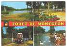 LE HAVRE, Seine-Maritime:Forêt De Montgeon;Vue Générale;Calèche Attelage;Enfants,Cygne;Flamme LESUEUR BIBLIOTHEQUE, 1978 - Forêt De Montgeon