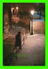 PARIS - VOL DE NUIT - PHOTO BENOIT PERRIN EN 1988 - DIMENSION 12 X 17.5 Cm - - Parijs Bij Nacht