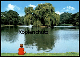 ÄLTERE POSTKARTE CASTROP-RAUXEL STADTGARTEN Kind Child Enfant Junge Boy Baum Tree Ansichtskarte AK Cpa Postcard - Castrop-Rauxel