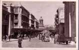 Algérie - Mostaganem - L'avenue Du 1er De Ligne (voitures, Automobile, Camionette) - Mostaganem