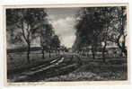 GERMANY - FALLINGBOSTEL, Panorama, 1938. - Fallingbostel