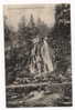 GERMANY - BAD HARZBURG, Radauwasserfall, 1906. - Bad Harzburg