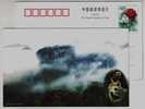 Rhesus Macaques,China 2000 Mt.Wuyishan Dawangfeng Hill Tourism Advertising Pre-stamped Card - Affen