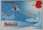 Flying Kite,red Crowned Crane Bird,China 2008 Nanhai Human Resources Market Advertising Pre-stamped Letter Card - Kranichvögel