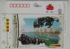Dragon Boat Racing,China 2009 Longyou New Year Greeting Advertising Pre-stamped Card - Canottaggio
