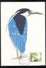 Bird "Egreta Mare":MAXIMUM CARD, 1971, – Carte Maximum, Maxi Card, Romania. - Ooievaars