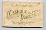 Carnet 20 Cpa Souvenir De OSSUAIRE DE DOUAUMONT - Kriegerdenkmal