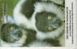 # JERSEY JER75 Black & White Ruffed Lemurs 2 Gpt 08.94 13773ex -animal,lemurien-  Tres Bon Etat - [ 7] Jersey And Guernsey