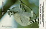 # JERSEY JER74 Ring Tailed Lenur 2 Gpt 08.94 13614ex -animal,lemurien-  Tres Bon Etat - [ 7] Jersey And Guernsey