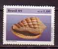 F0070 - BRAZIL Yv N°1934B ** COQUILLAGE - Nuevos