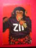 CPM -THEME ANIMAUX- SINGE -ZIPPY LE CHIMPANZE -ZIPPY CHANTEUR - Scimmie