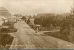 (1) Old England Postcard - Carte De Grande Bretagne Ancienne - Glasgow Botanic Gardens - Lanarkshire / Glasgow