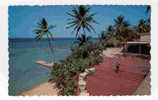 JAMAIQUE  W. I.   Ocho Rios  Scene From Silver Seas Hotel - Jamaica