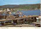 Newfoundland Terre-Neuve Canada - Notre Dame Bay - Fishing Harbor - Port De Pêche - Neuve - Other & Unclassified