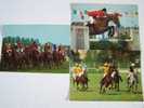 3 Cartes Chevaux Courses Polo Obstacles Hippiques-made By Kruger - Hípica