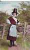 B2246 Wales Welsh Girl In Costume Not Used Good Shape - Flintshire