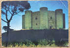 PUGLIA - ANDRIA, Castel Del Monte, Cartolina Nuova - Andria