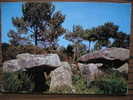 Carnac- Plouharnel      ( Morbihan )      DOLMENS - Dolmen & Menhire