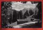 V709 Klosters, Rüti Promenade.Cachet Klosters 1946.Berni 2715 - Klosters