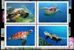 Turtle ,                                                             (A01-005) - Turtles