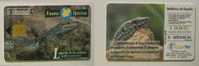 SPAIN ESPAGNE TELEPHONE CARD TELECARTE FAUNE 1997 LEZARD LIZZARD LAGARTO FAUNE FAUNA - Krokodillen En Alligators