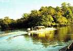 GUYANE FRANCAISE ET SURINAM  PIROGUE DANS LE FLEUVE - Surinam