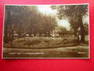 CPSM OU CPA PHOTO-ANGLETERRE -FLORAL CREST IN GARDENS,BEDFORD -NON VOYAGEE-CARTE EN BON ETAT. - Bedford