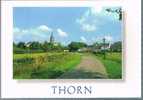 Thorn - Thorn