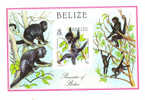 Belize 1987 Indigenous Primates Black Spider Monkey S/S MNH - Belice (1973-...)